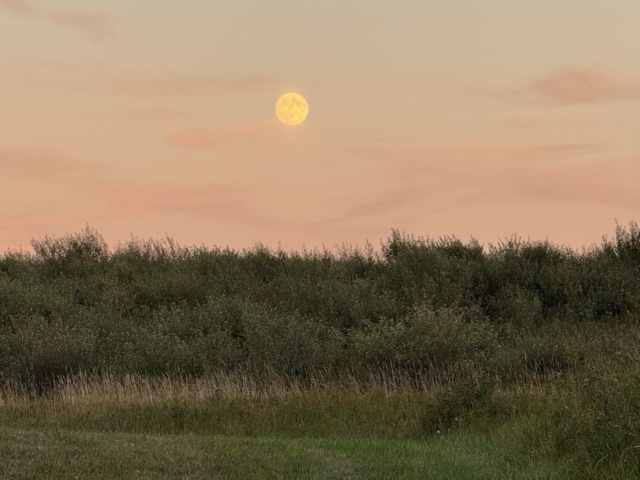 Harvest moon over the farm