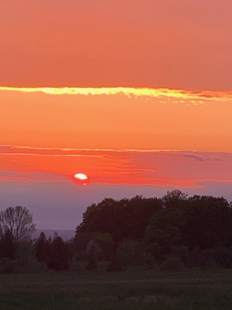 Deep orange sunset over treeline